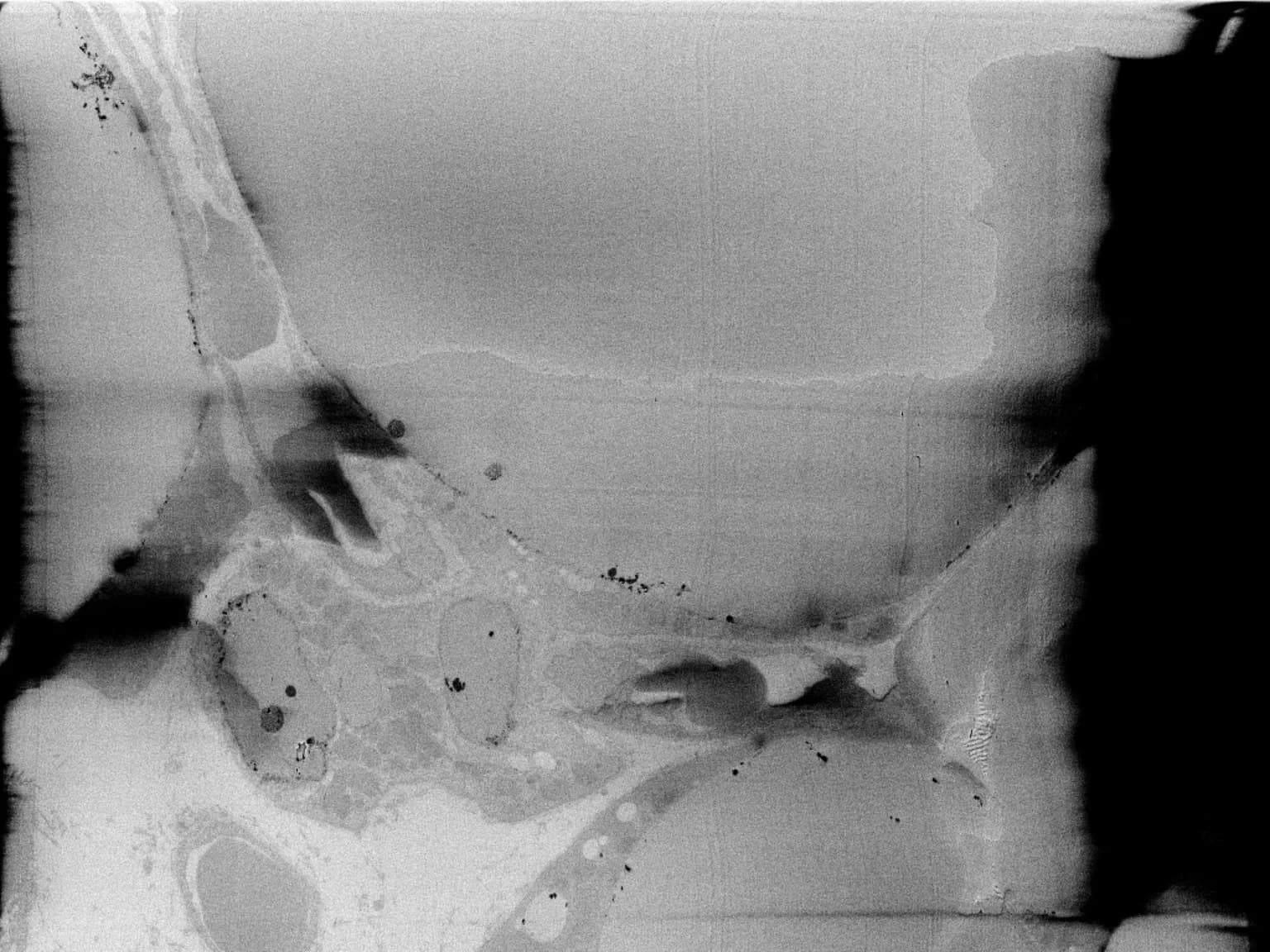 Without charge neutralisation — visible charging artifacts